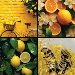 précommande chaussettes classiques mai 2026