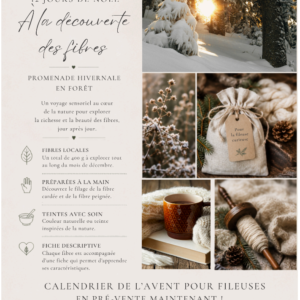 calendrier de l'avent 2026 noëls d'antan (copie)