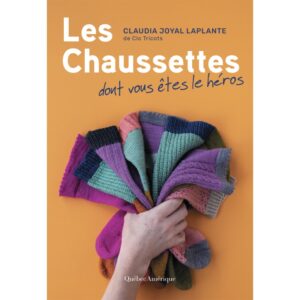 les chaussettes dont vous etes le heros (2)